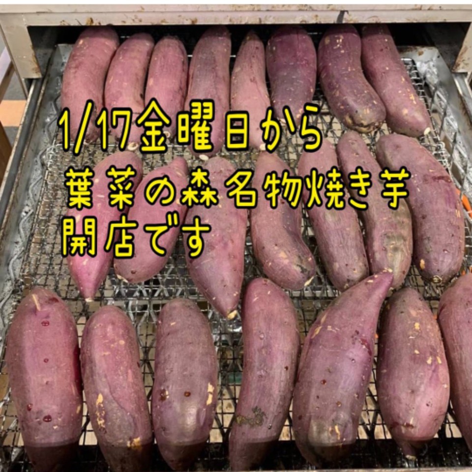 焼きいも再開のお知らせ
