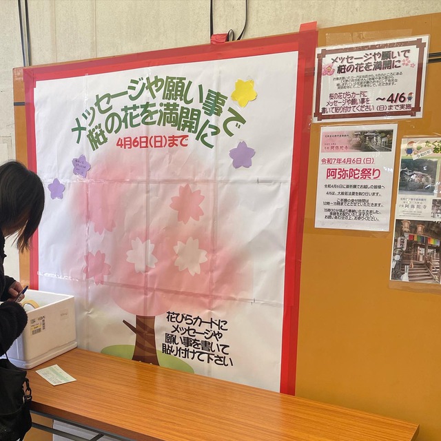 桜メッセージ