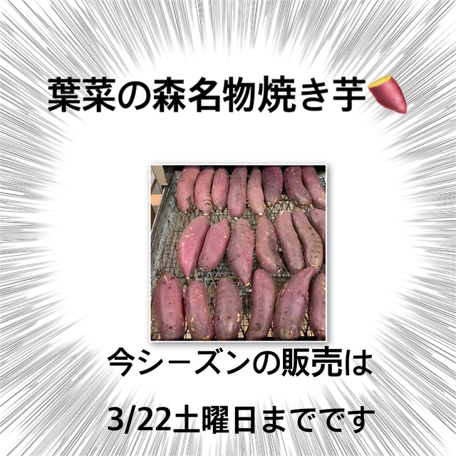 焼き芋販売3/22まで