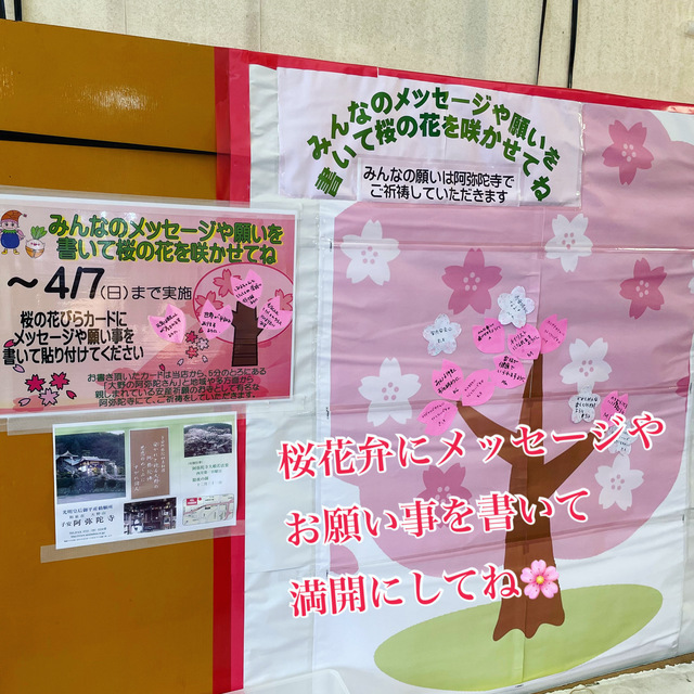 桜イベント