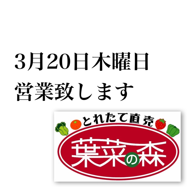 3/20営業