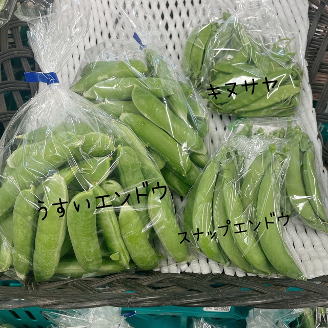 旬の豆類
