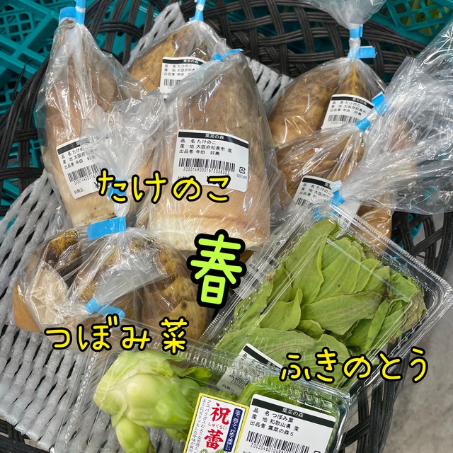 売場は春へ