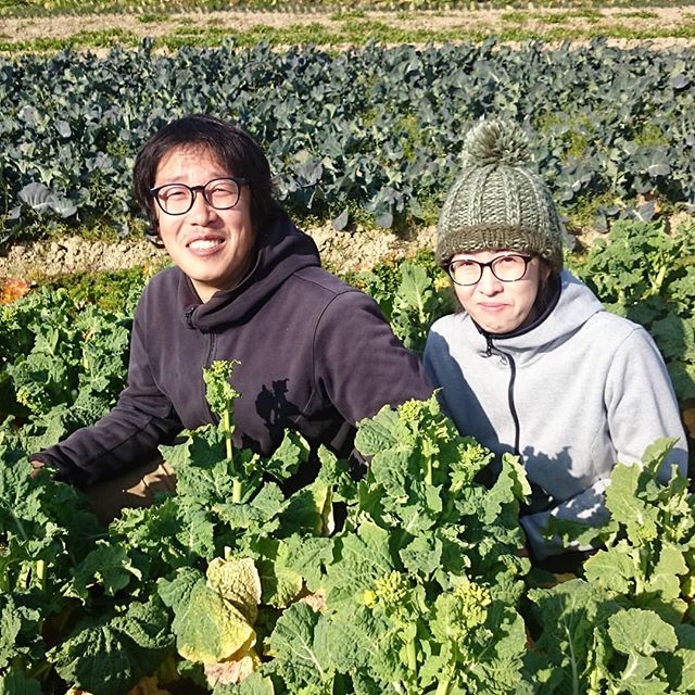 貝塚市の八田さんご夫婦1