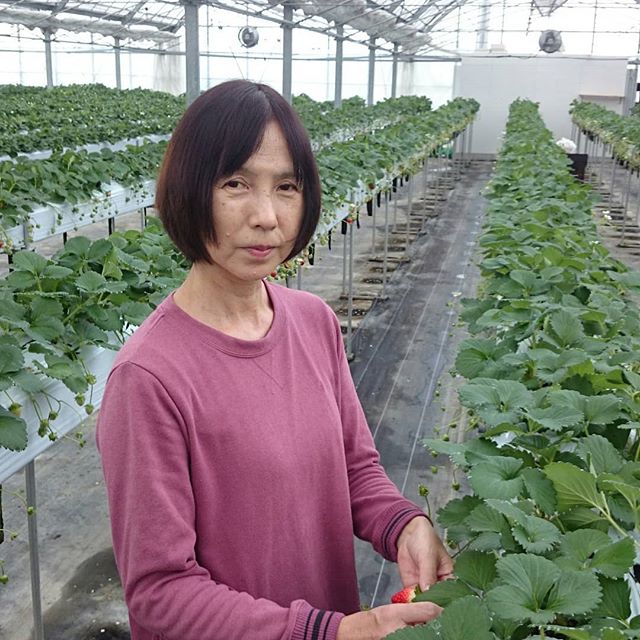 和泉市の小川いちご組合4号棟の飯阪さん1