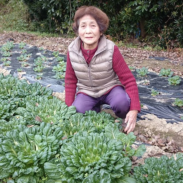 和泉市の辻さん3