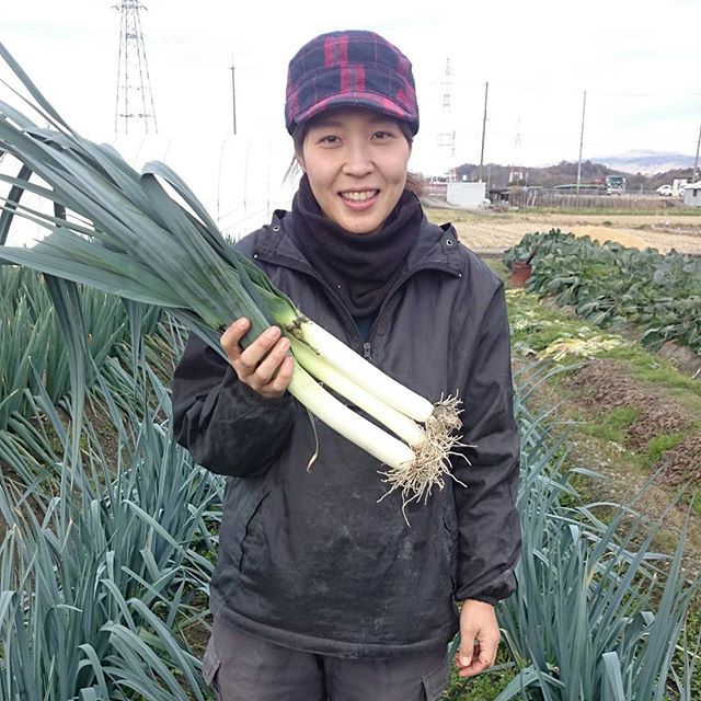 富田林市の稔り、みのるファームさん