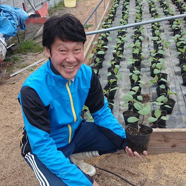 貝塚市の小池商店さん2