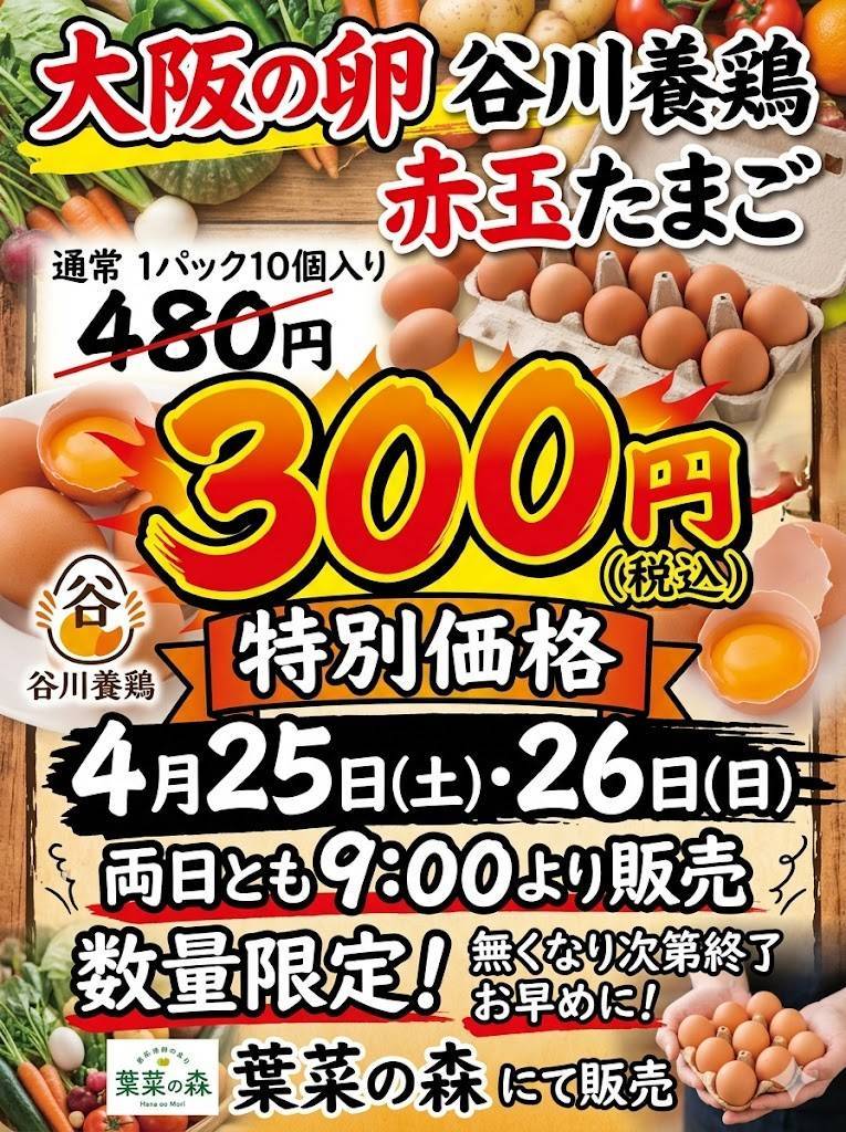 4/25（土）4/26（日）イベント