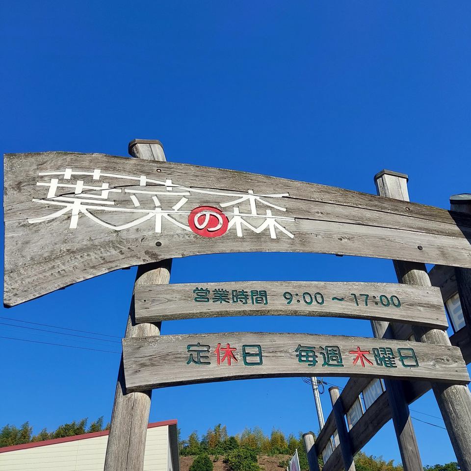 6月の定休日