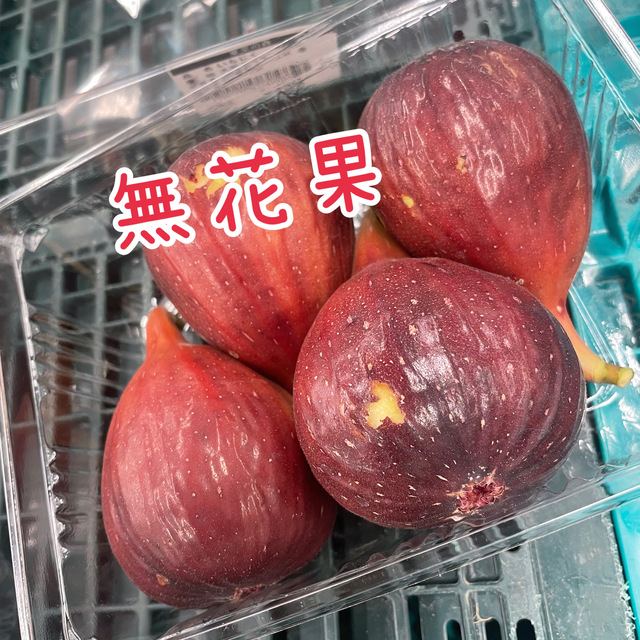 無花果