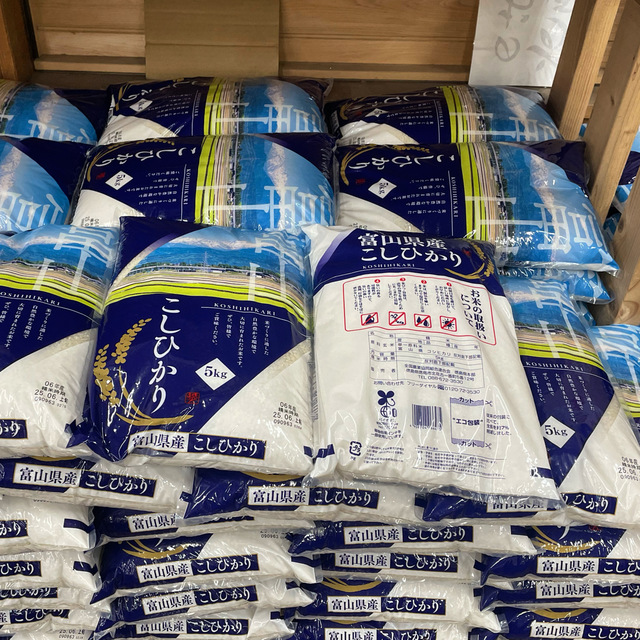 富山県産コシヒカリ