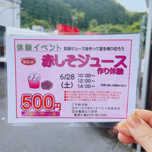 体験イベント